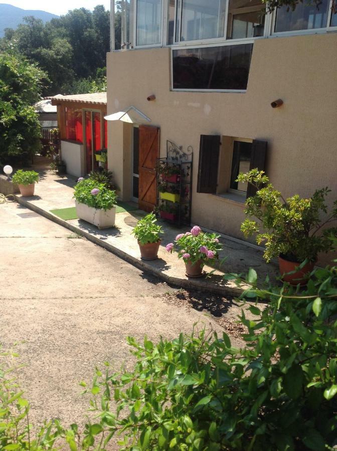 Charmant Appartement 2 pièces Eccica-Suarella  Extérieur photo